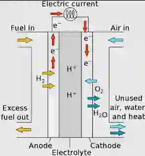 Hydrogen Fuel Cell Bus Launched In Pune